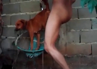 Dude fucks a dog on a trampoline