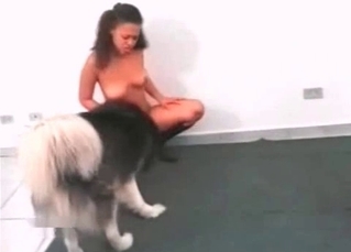 Hot ladies are sharing a massive hound