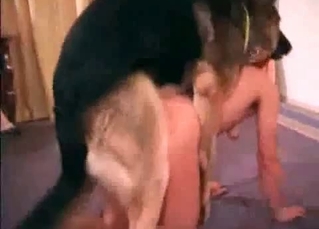 Lovely puppy can't stop fucking with a brunette