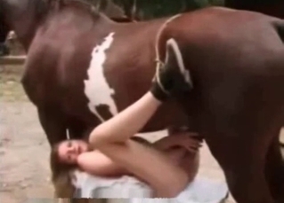 Gorgeous model is enjoying a rough sex with a horse