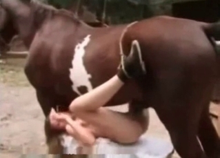 Gorgeous model is enjoying a rough sex with a horse