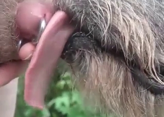 Nothing can stop a puppy tasting this zoophile's dick