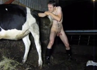 Skinny farmer drills his cow from behind