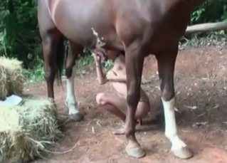 Huge stallion dick sucked by a slender hottie