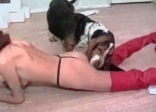 Dirty dog drilling this submissive bitch