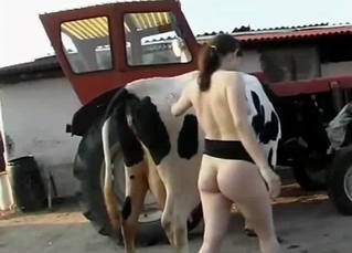 Cow with a big ass is having fun with a nice female