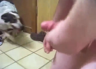 Awesome dog fuck experience with mostly oral