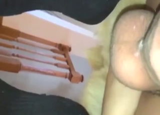 Dog is going to enjoy a hot handjob after sex