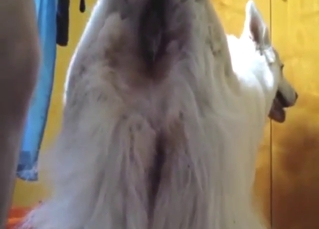 Hot vag honey wants to get banged by a beast