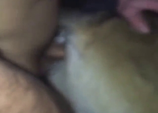 XXX GSD porn movie with sideways screwing