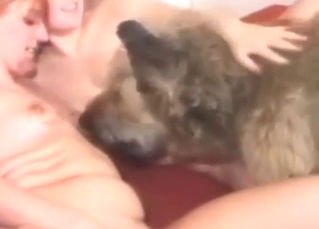 Two slutted-up ladies are happy to fuck that dog