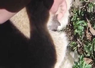 Alpaca pussy is always fun to play around with