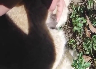 Alpaca pussy is always fun to play around with