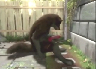 Dog enjoying anal play with plenty of deep orgasms