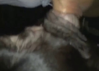 Slo-mo, close-up fuck with a slutty black animal