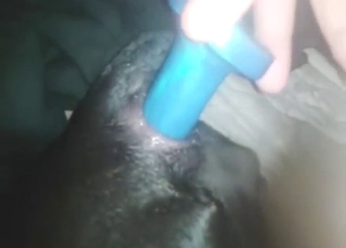 Butt-plug play with a rather sexy animal