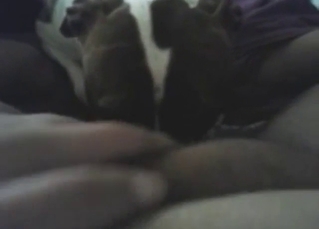 BBW gets her cunt licked in a POV zoo scene