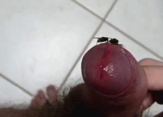 Dude is happy to almost fuck a fly in this vid