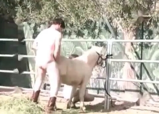 Hot horse is being presented with a deep ass fingering
