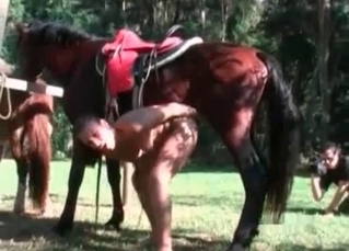 Filthy whore knows what this horse needs