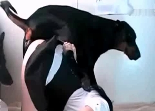 Passionate puppy is making this lady feel an orgasm